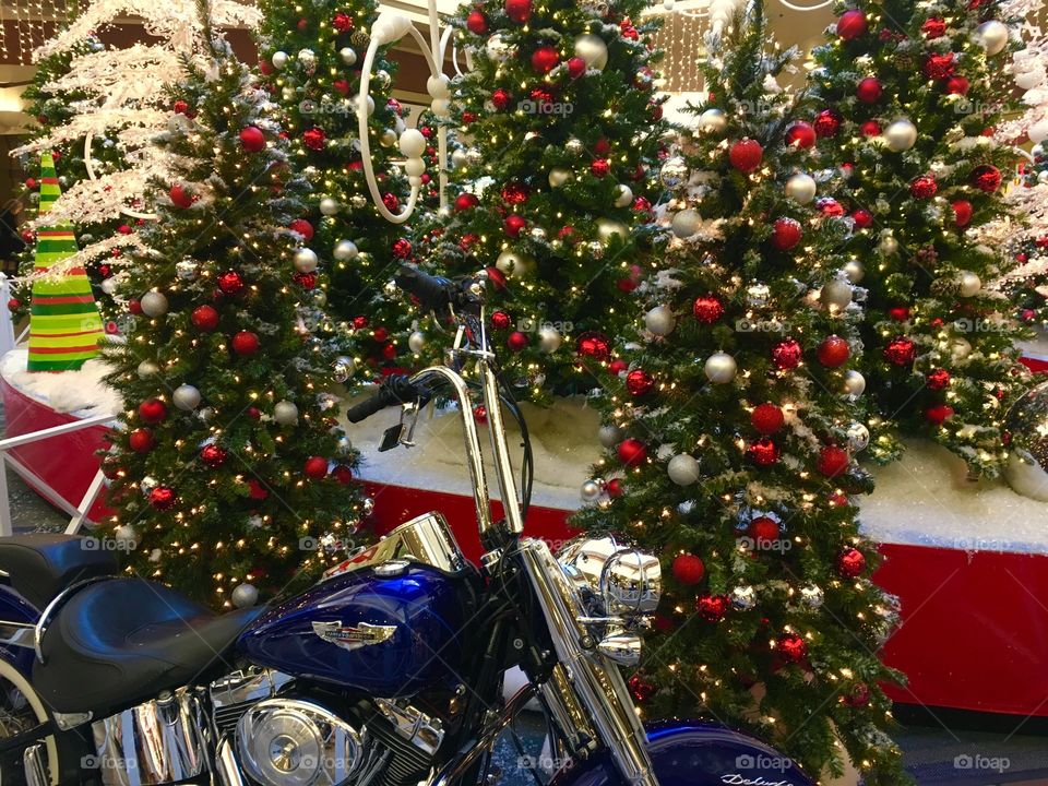 Christmas at the Mall