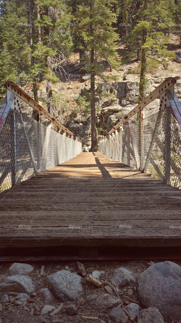 Wooden Bridge in Yosemite