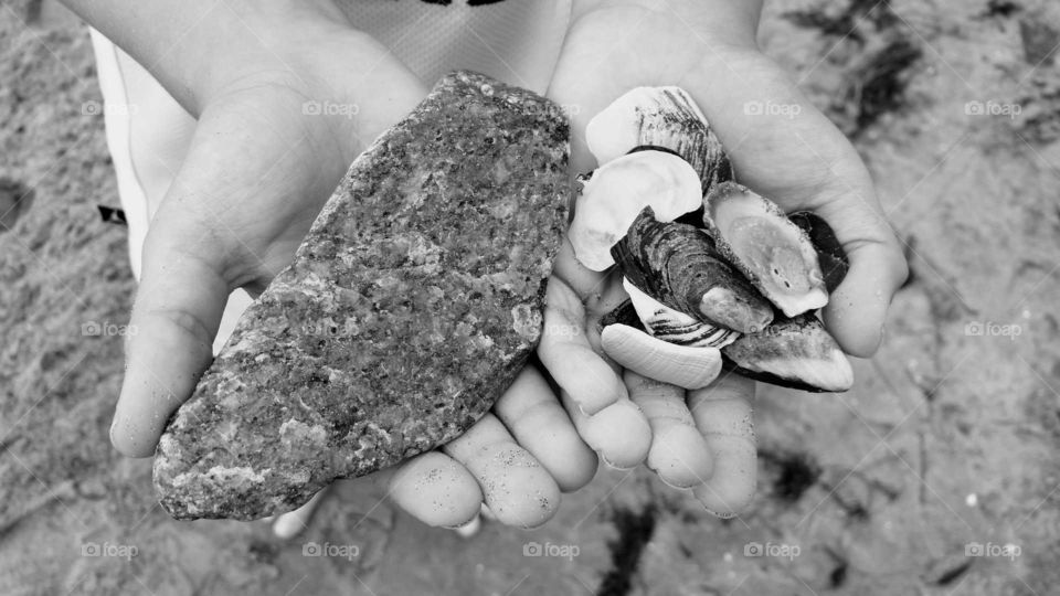 stone shells black white