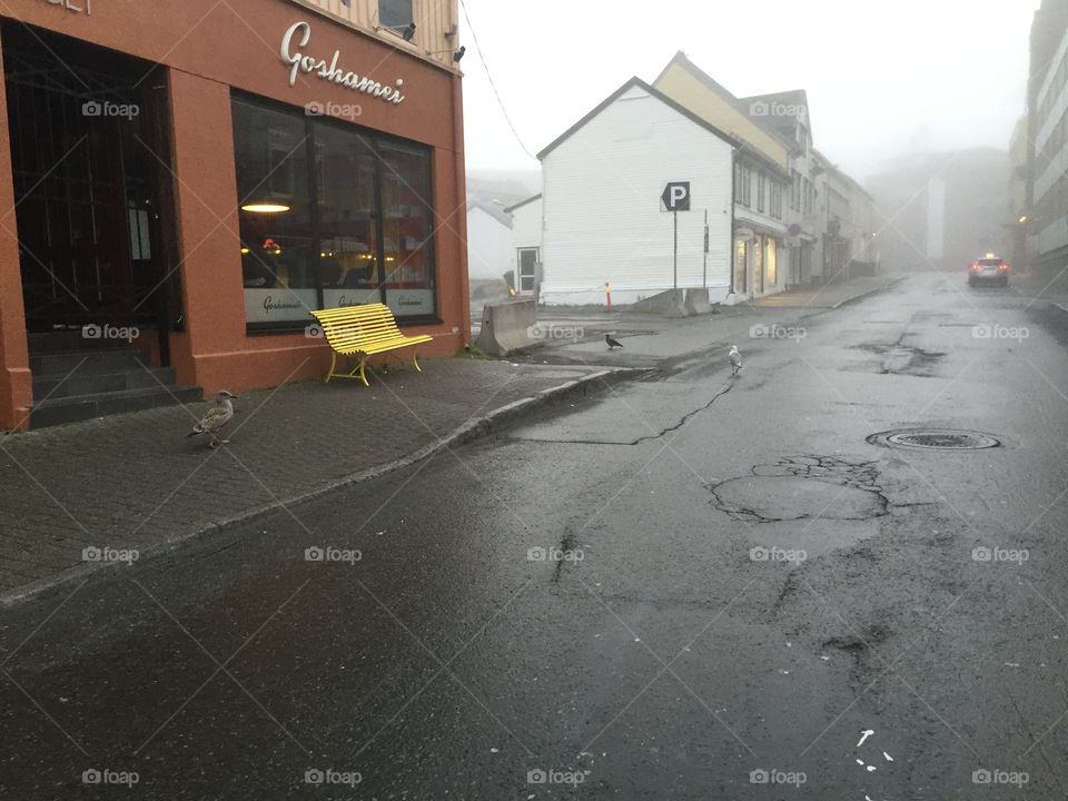 A very foggy day in Tromso, Norway. 