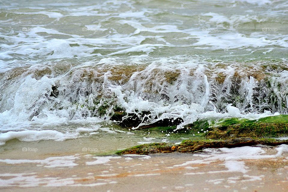 Salty ocean waves, crashing against algae covered rocks. 