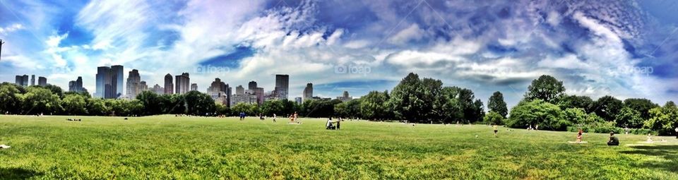 Sheep Meadow