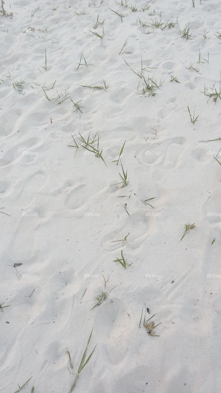 Sand. White sand.