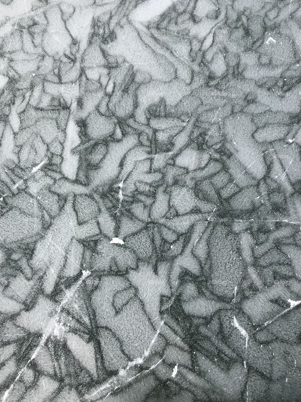 A closeup of the patterns of a frozen lake. Puzzle pieces of white and speckled ice. 