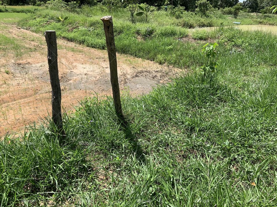 The stories of the nature, countryside (Thailand)