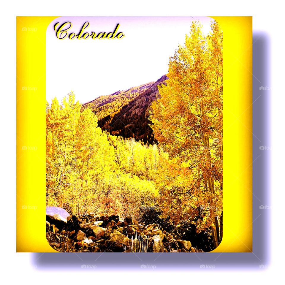 Desktop, Nature, Fall, Design, Illustration