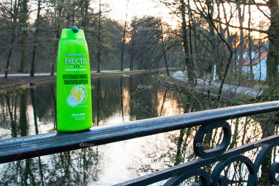 Garnier in the gardens 