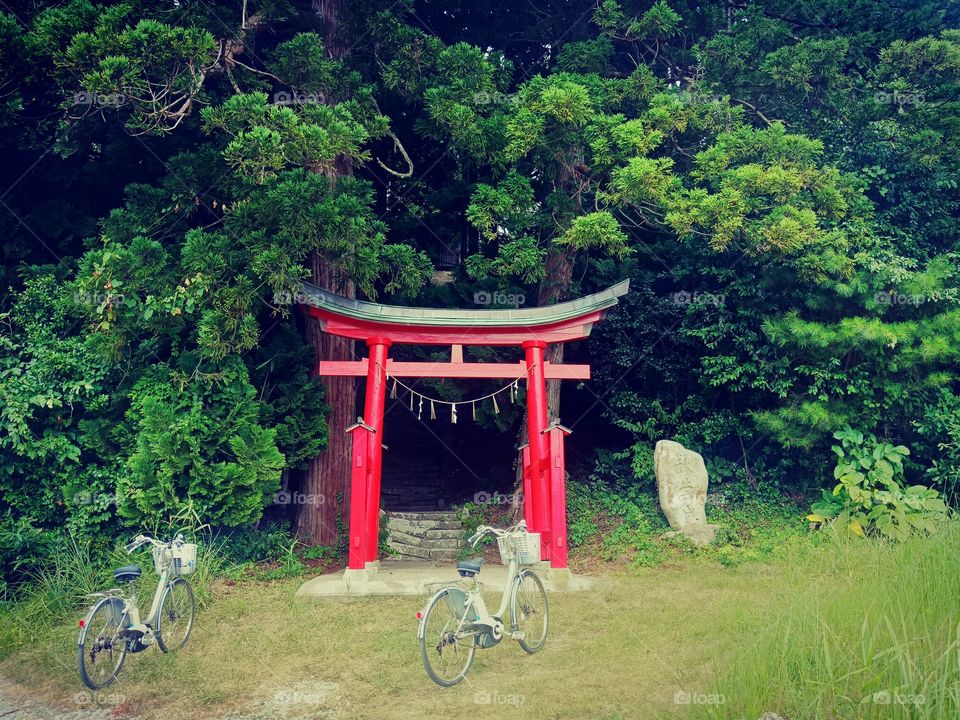 two bicycle in front of Torii gate, Shinto shrine,  sado island ,Japan