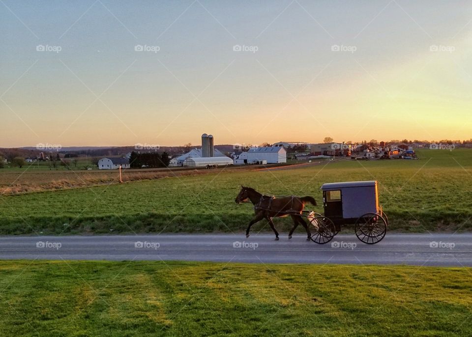 Amish horse and carriage. Pennsylvania, usa