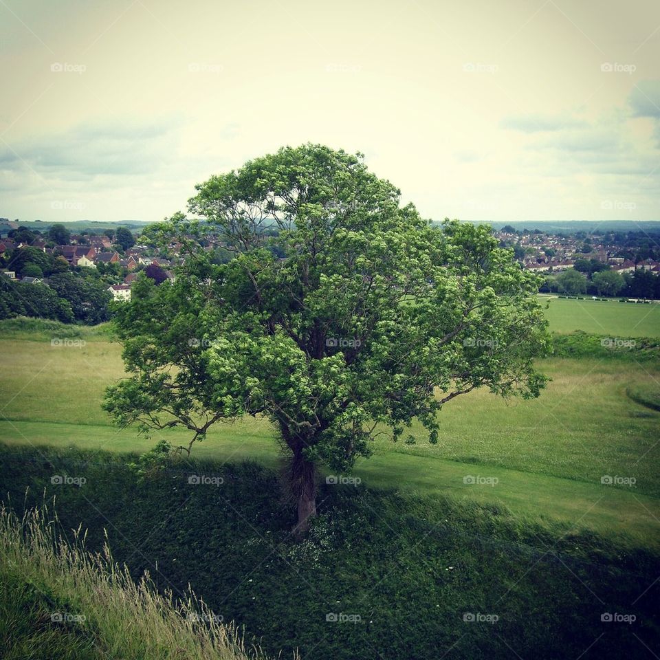 Old Sarum