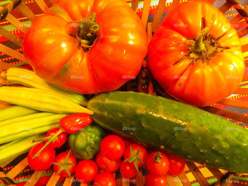 Garden Harvest