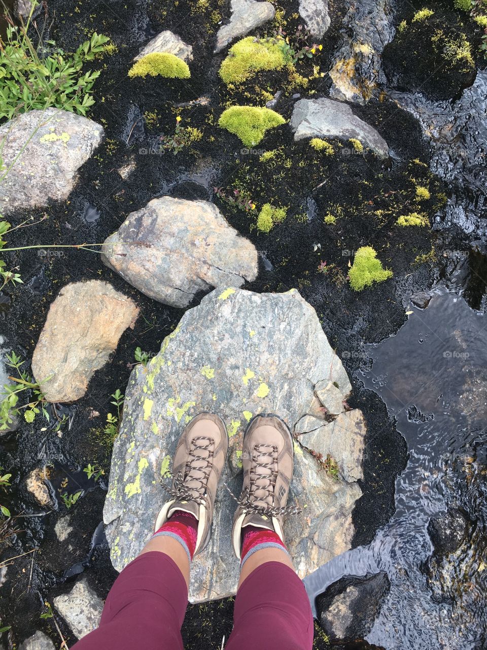 Taking the time to explore a mossy creek