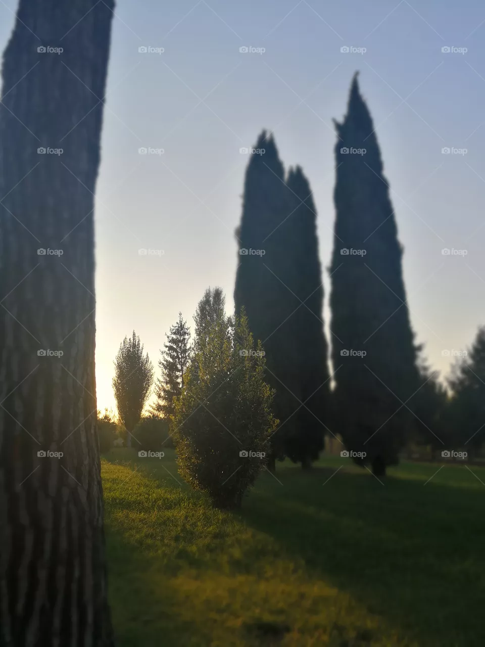 Park