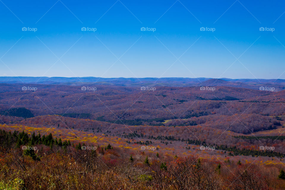 The Allegheny Plateau from Spruce Knob, WV.