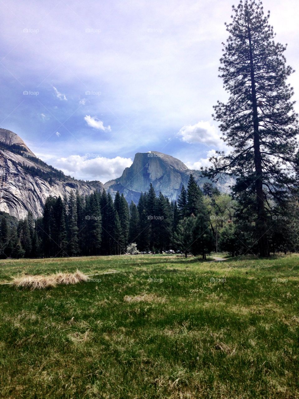 Half Dome