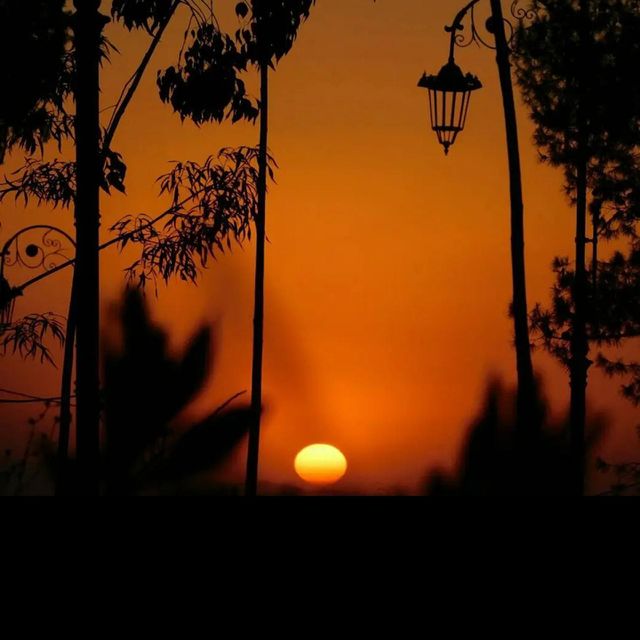 sunset