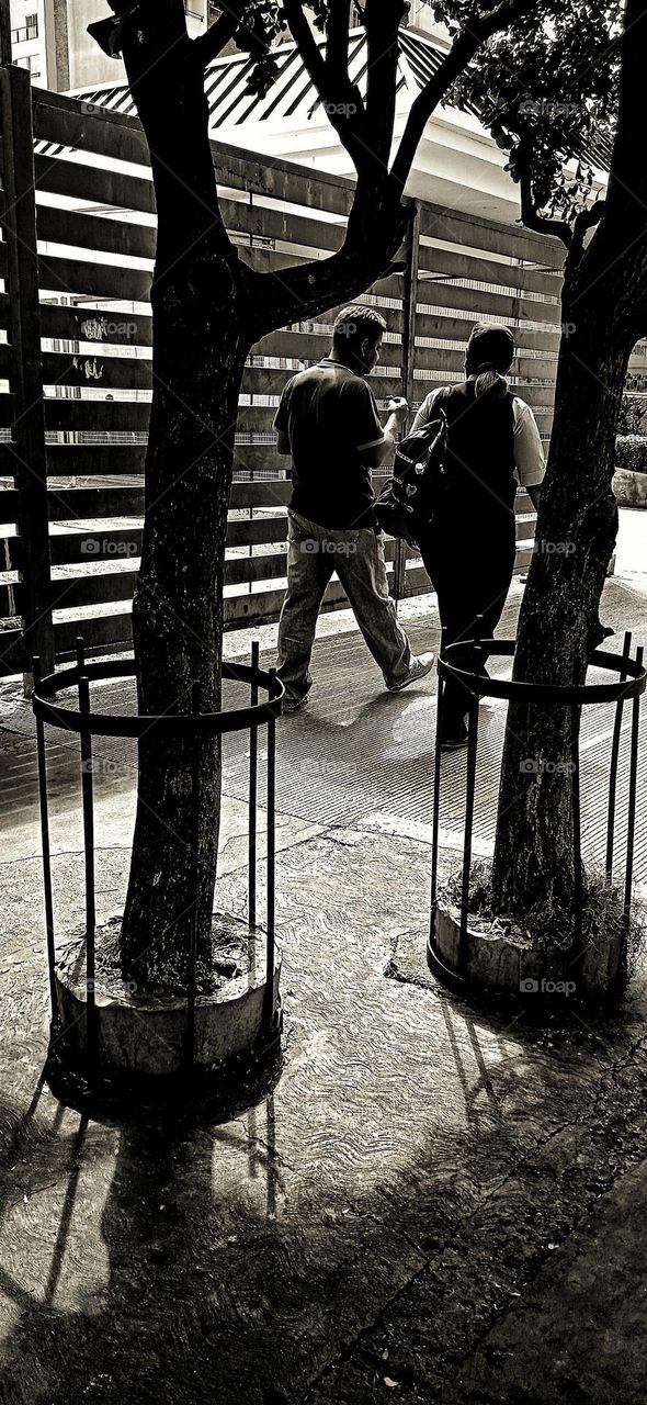 the street in shadows