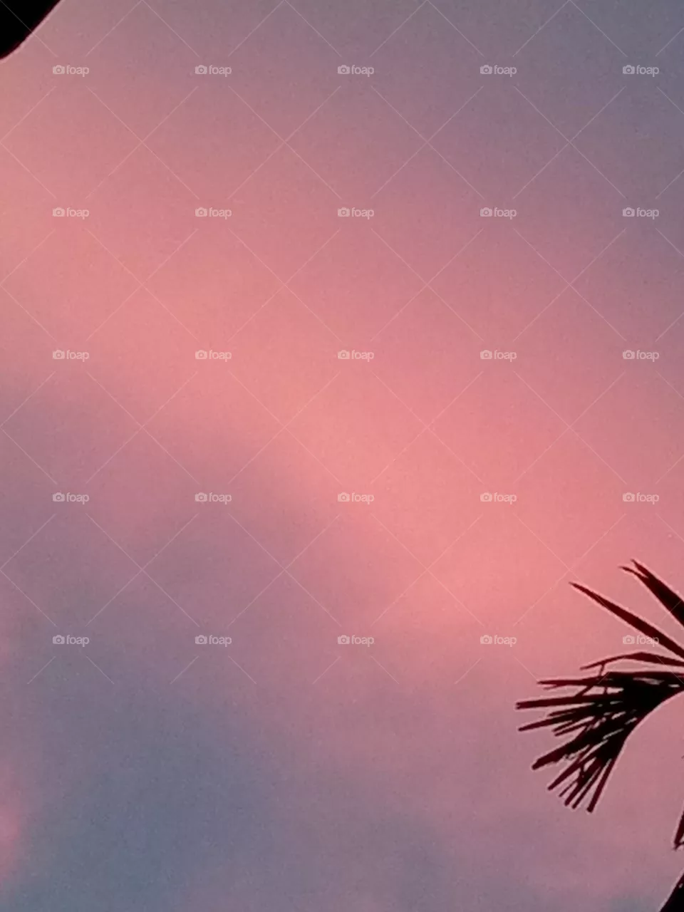 sunset.
