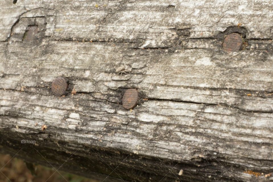 Old, Log, Wood, Wooden, Rough