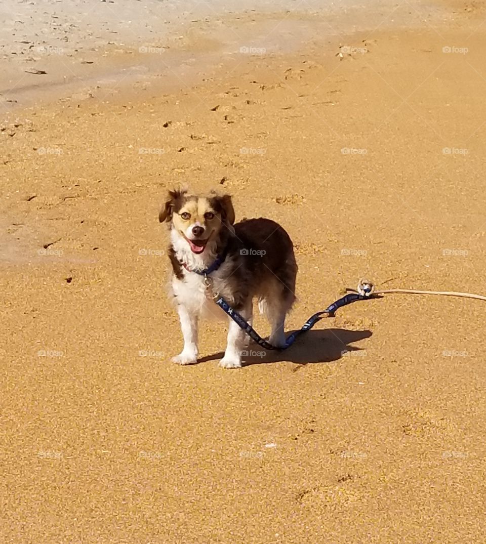 enjoying the sand