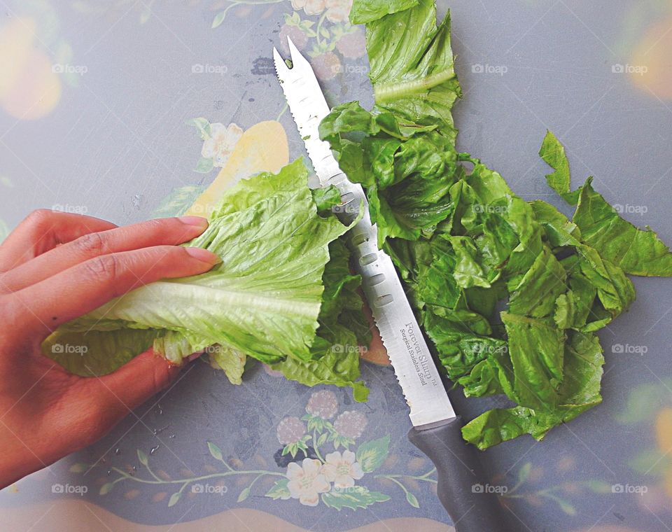 Chopping lettuce 