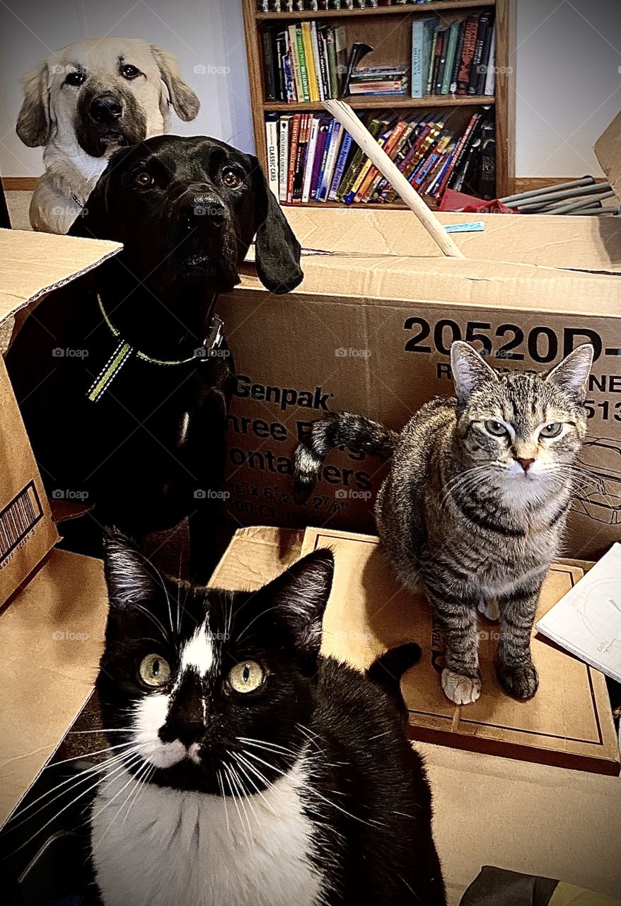 I was eating breakfast 