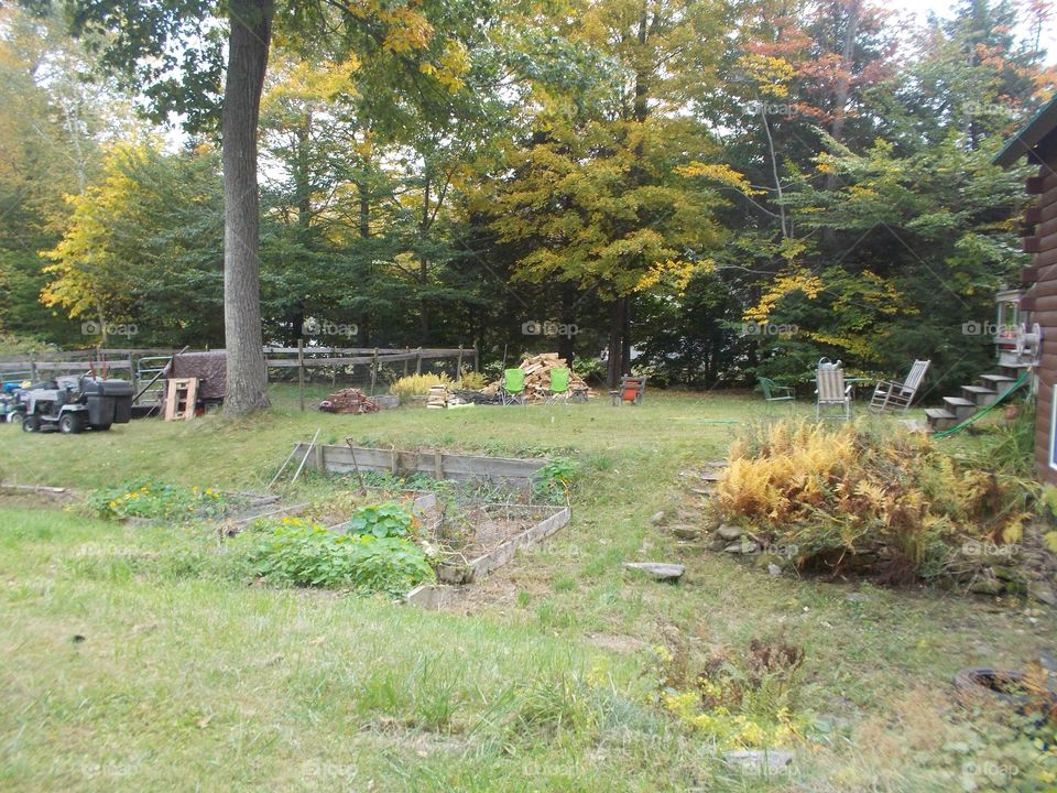 Backyard garden and tools 
