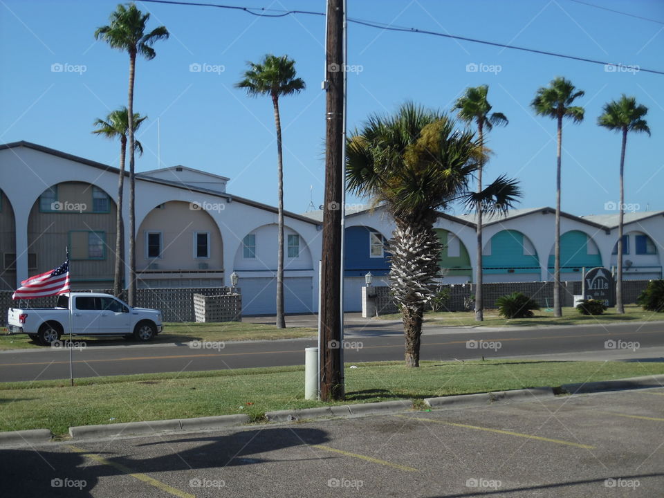 palm 🌴 tree. This is a vacation photo 📷 that I took while visiting port Aransas Texas. 👣 🚶 🏃 🔥 💨