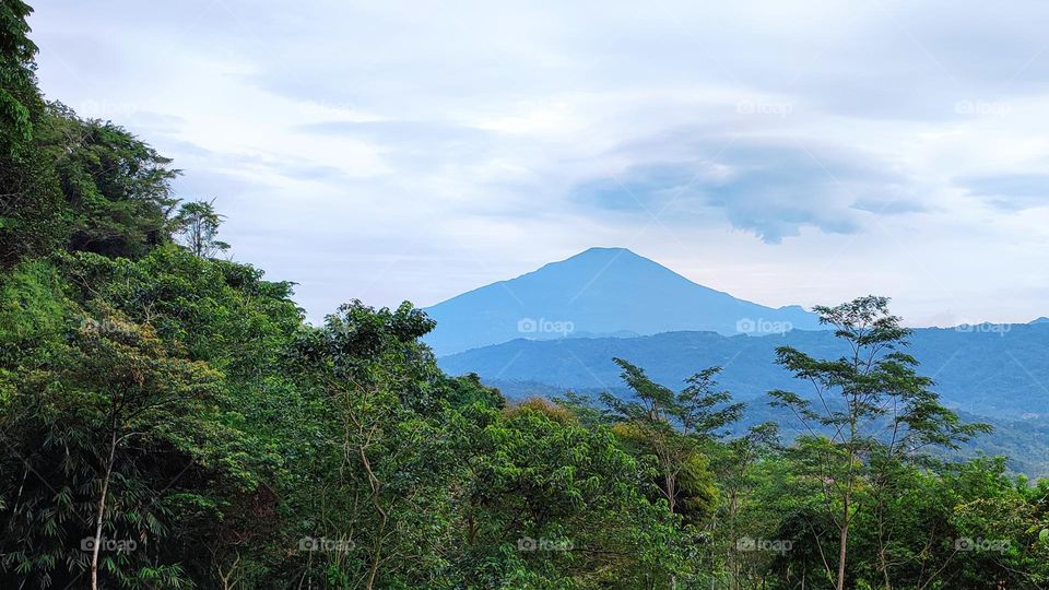Mountain behind the tree