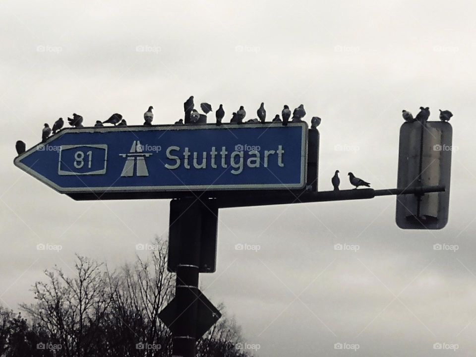 Richtung Stuttgart