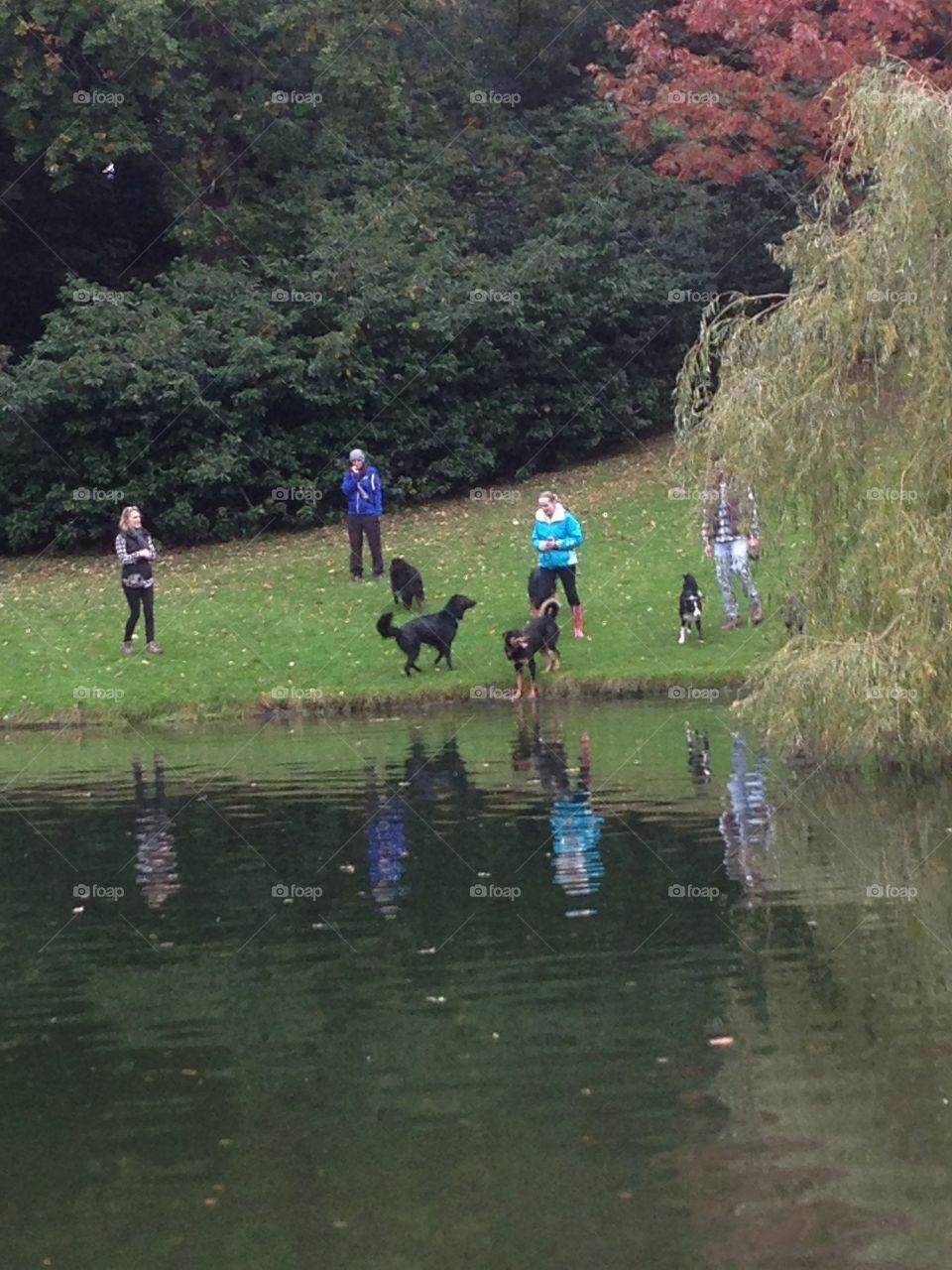 Autumn fun. People and dogs having fun by Lakeside in autumn