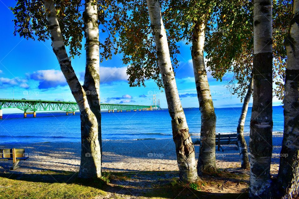 Views of the Macinac bridge 