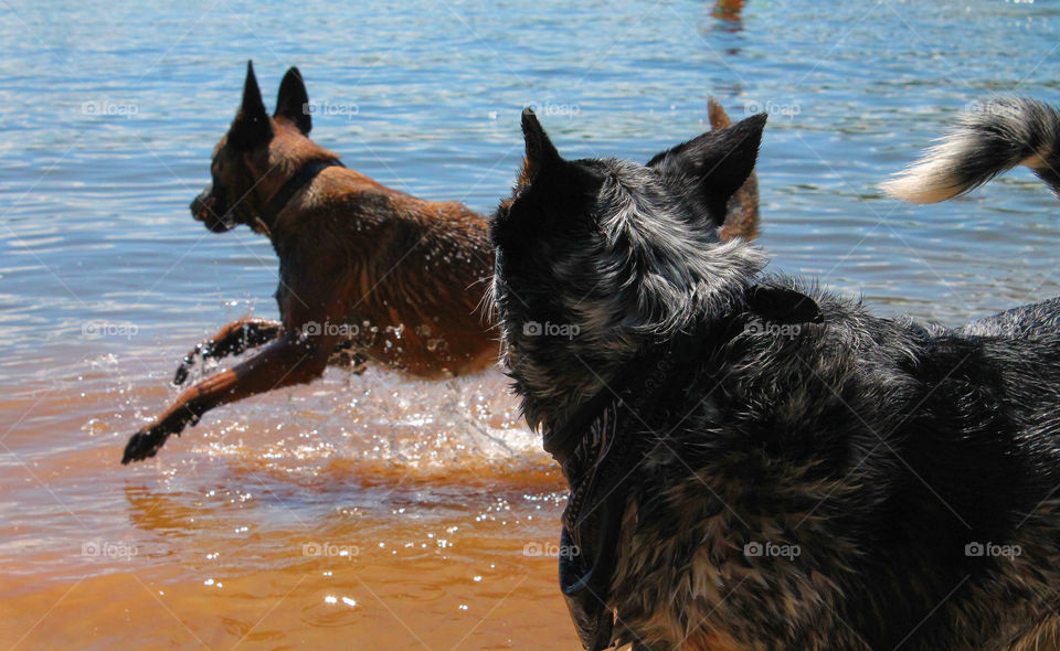 Friends playing in the water 