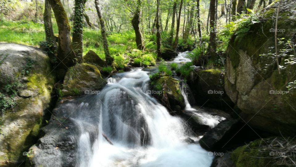 Waterfall, Water, Stream, River, Wood