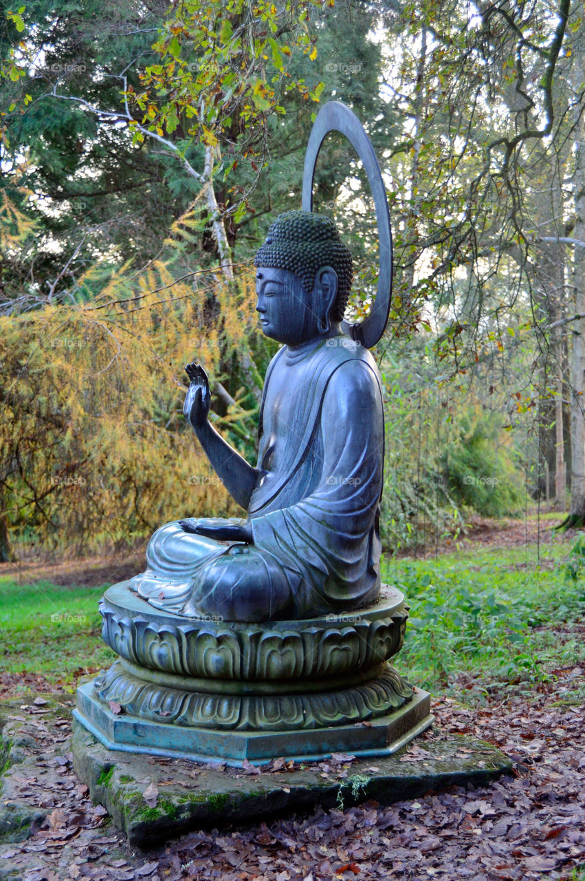 Statue. Buddha 