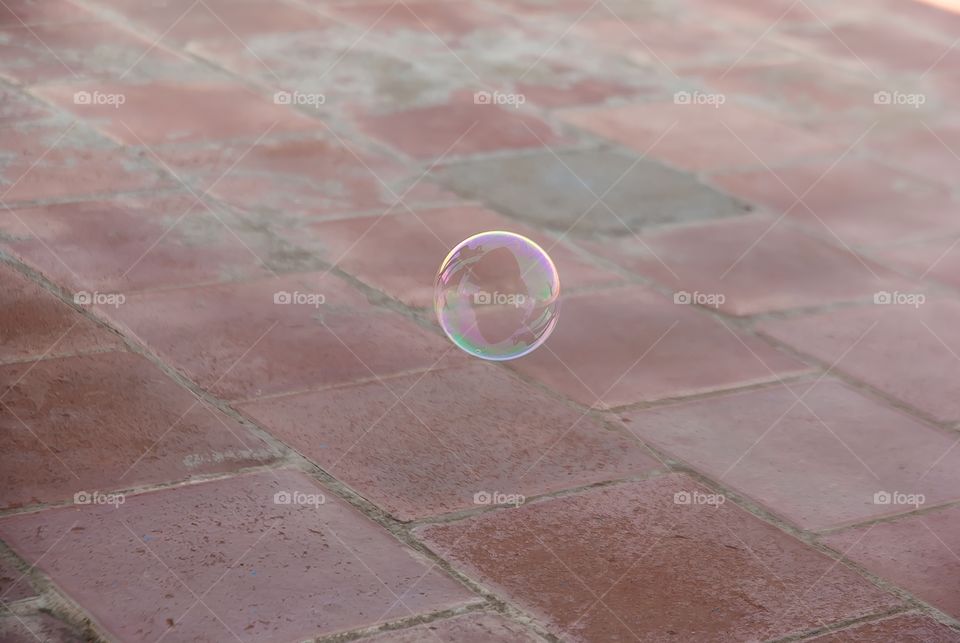 bubbles 