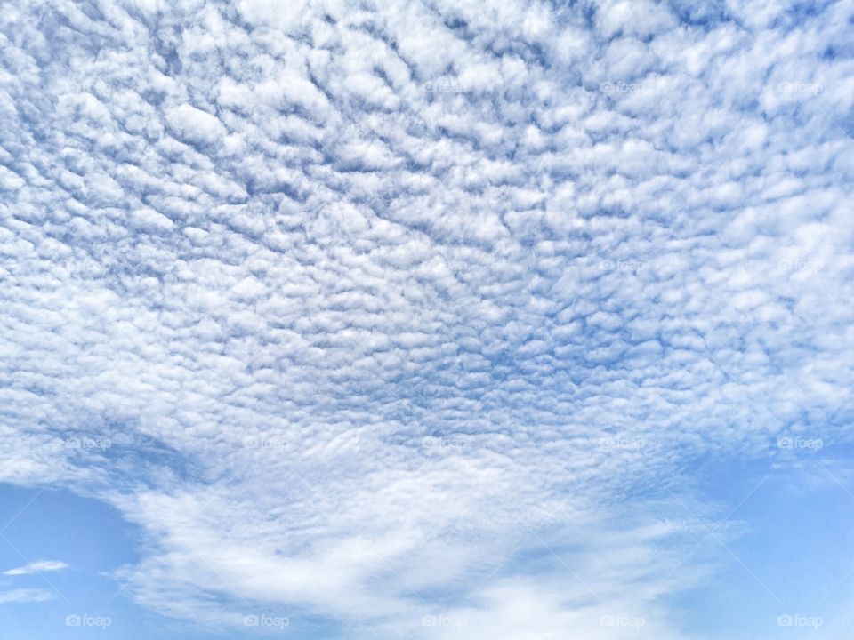 Beautiful cumulus fluffy blue sky with white clouds.