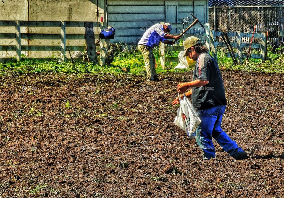 Immigrant Farm Workers