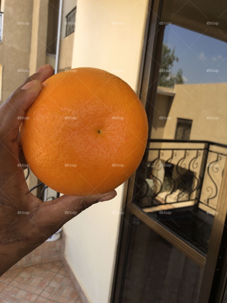Big African oranges 