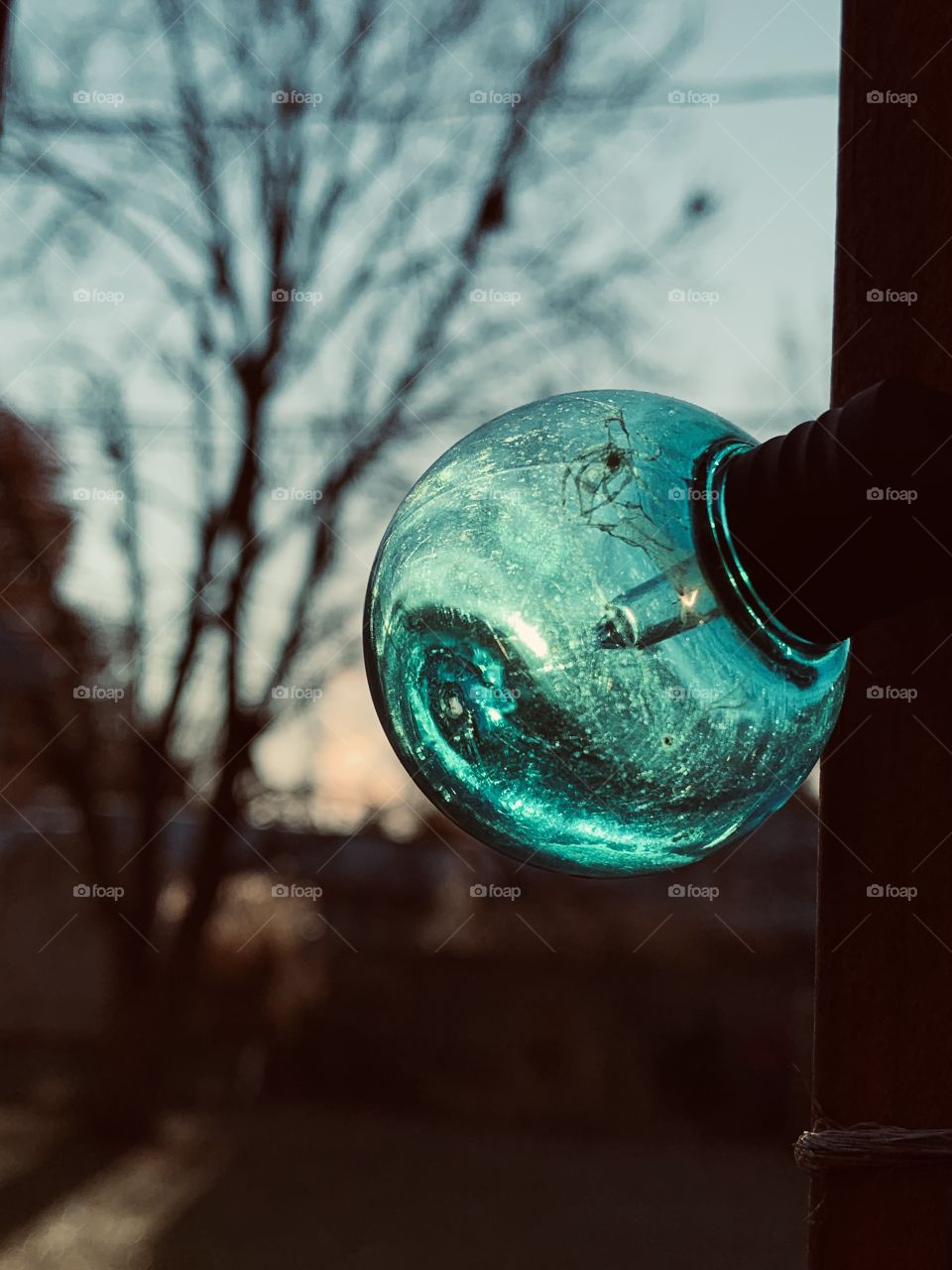 There’s something about frost on glass, with the morning sun behind it, and the brown colors of Autumn to compliment it. 