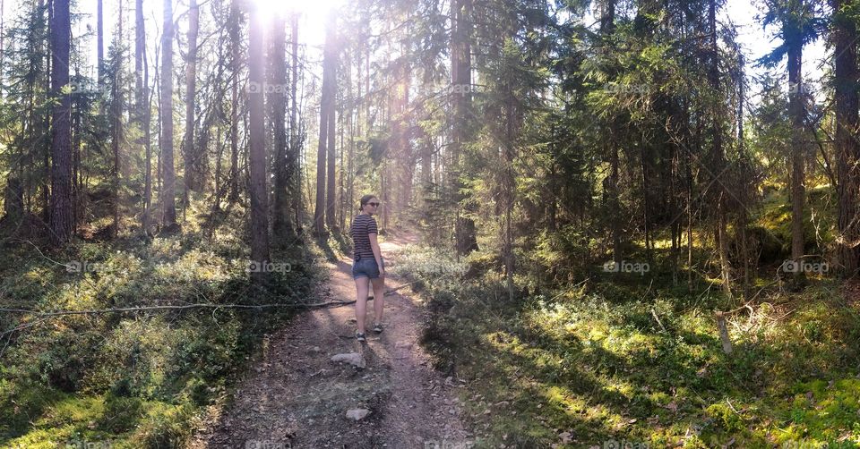 Hiking through Finland