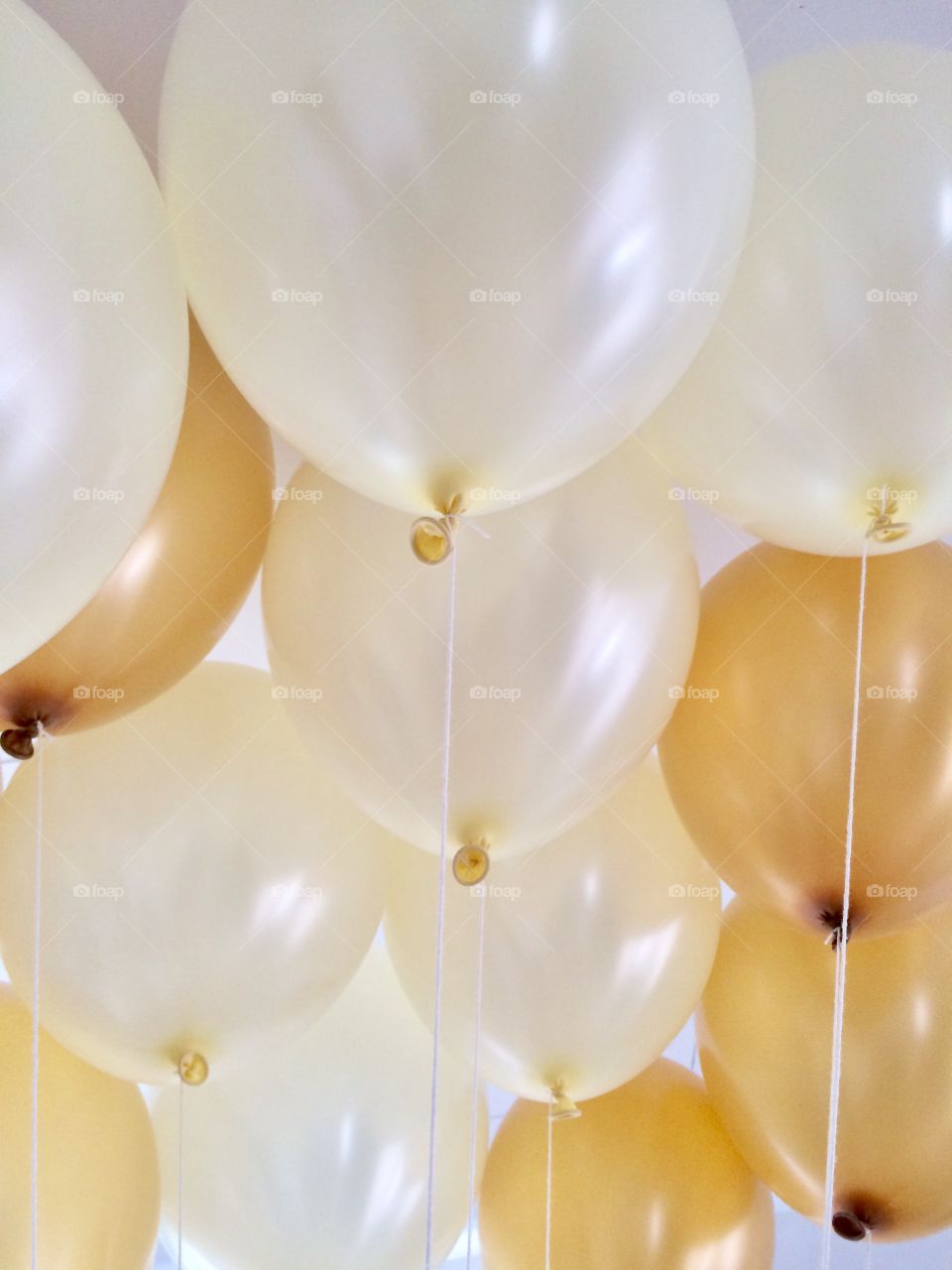 Gold and White Balloons 