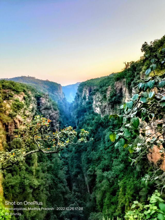 nature's Beauty