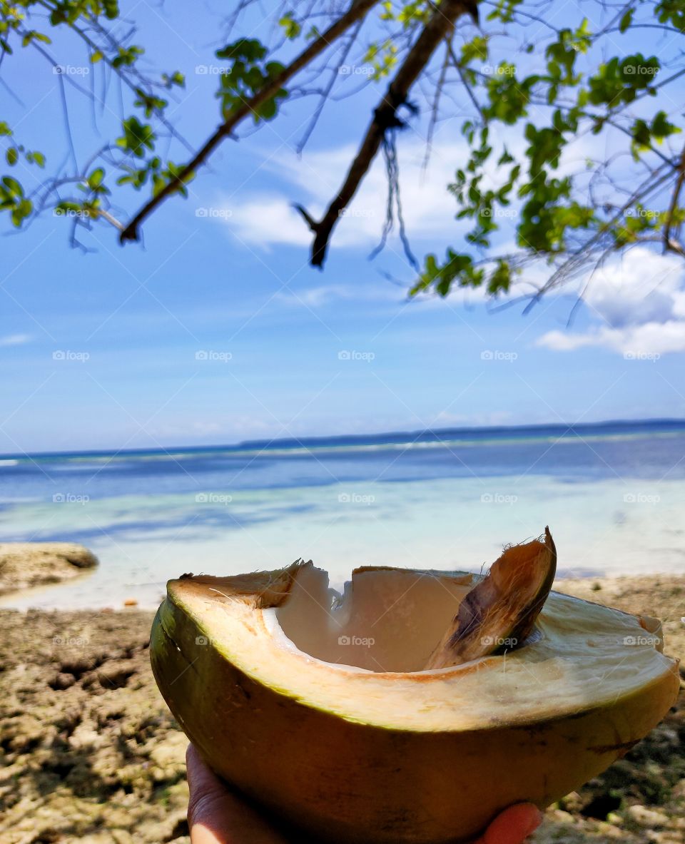 Beach, Ocean, Sea, Nature, Coconut