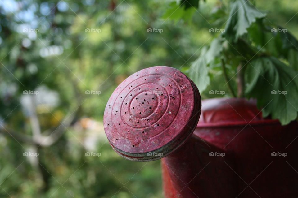 Watering Can