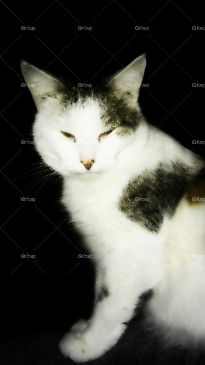 My Fat man in the dark with flash