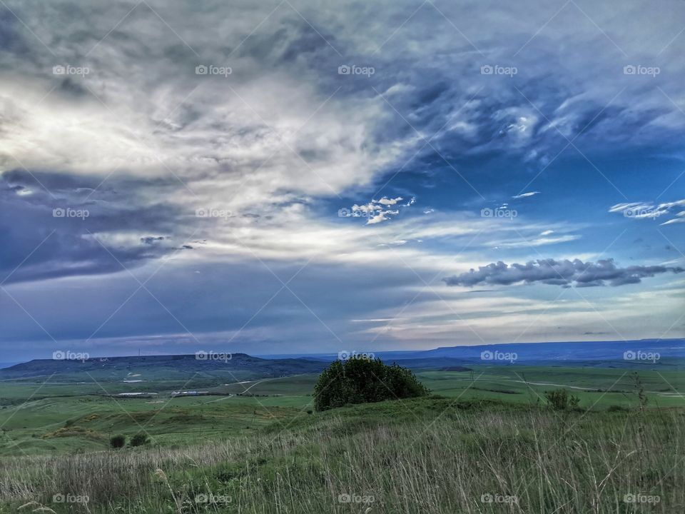 Forest day outdoor nature greens wild forest greens sky clouds moody