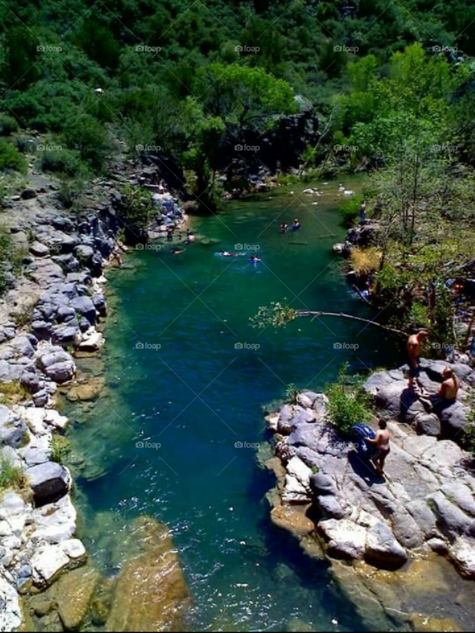 Fossil Springs
