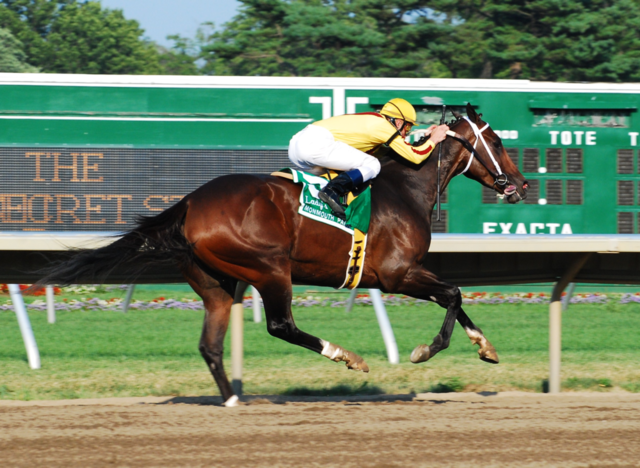 dirt horse jockey racetrack by frankie23
