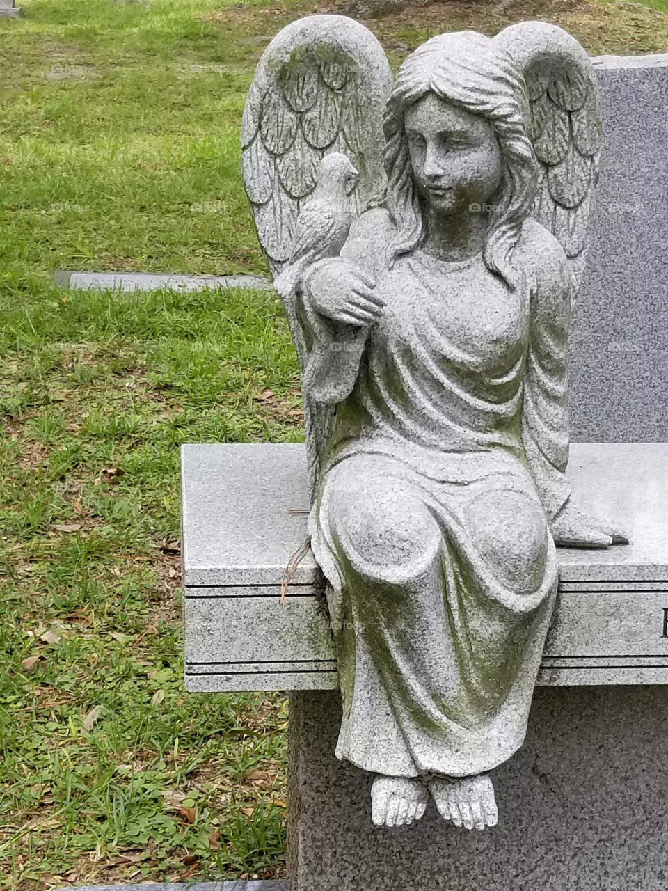 Angel